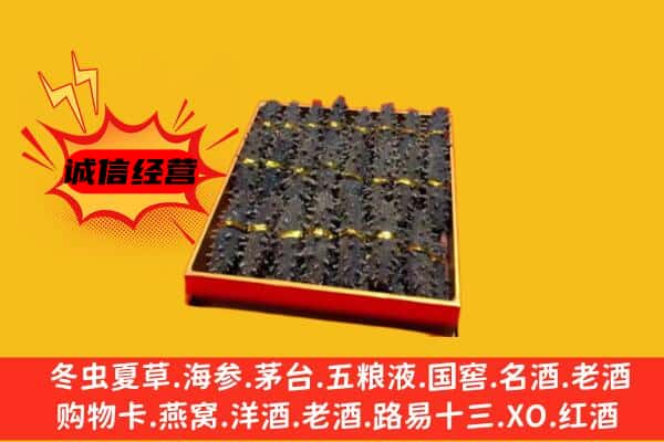 卢湾区回收海参